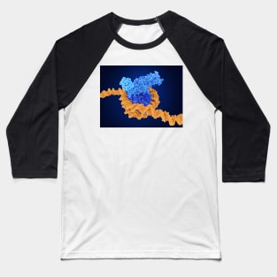 Histone methylation, molecular model, (F035/7250) Baseball T-Shirt